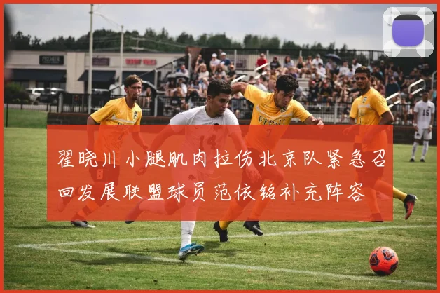 翟晓川小腿肌肉拉伤北京队紧急召回发展联盟球员范依铭补充阵容